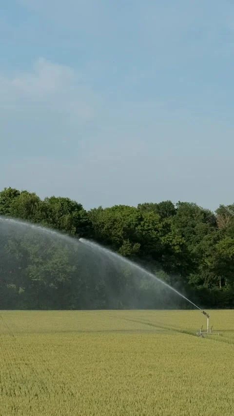Automatic water sprinkler that directs and distributes irrigation water to .. Vídeo Stock 291982393