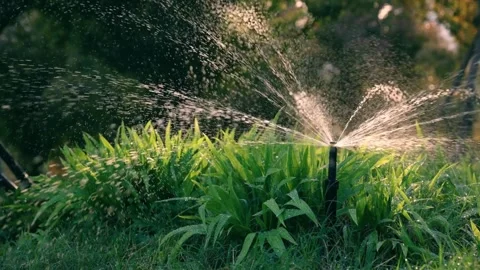 Automatic water sprinkler grass flowers and trees sprinkler head rotation Vídeos de archivo 334656780
