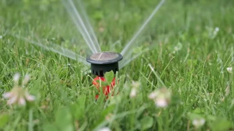 Automatic water sprinkler grass flowers and trees sprinkler head rotation Vídeos de archivo 334656976