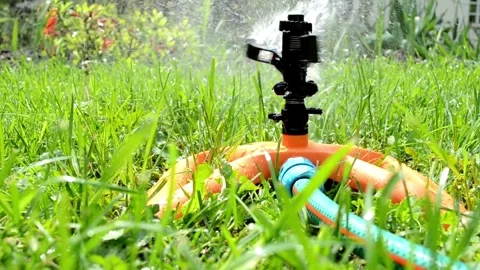 Automatic water sprinkler grass flowers and trees sprinkler head rotation Vídeos de archivo 334656989