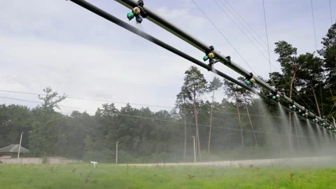 Automatic watering of crops with water. Qualitative technology, Landscaping of Stock Footage 176502633