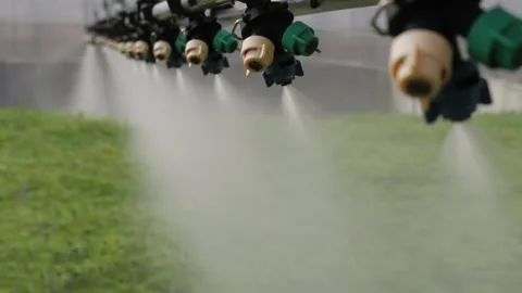 Automatic watering of crops with water. Qualitative technology, Landscaping of Video stock 176503505
