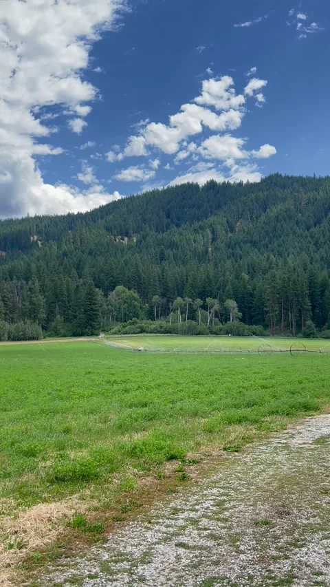 Automatic watering in the fields surrounded by mountains. Agriculture irrigation Stock Footage 249143270
