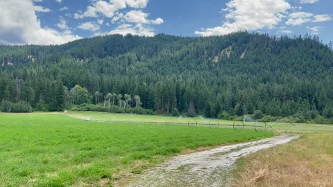 Automatic watering in the fields surrounded by mountains. Agriculture irrigation Stock Footage 249143341