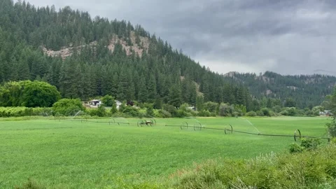 Automatic watering in the fields surrounded by mountains. Agriculture irrigation Stock Footage 249147372
