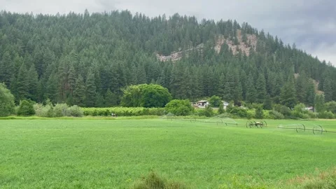 Automatic watering in the fields surrounded by mountains. Agriculture irrigation Stock Footage 250563249