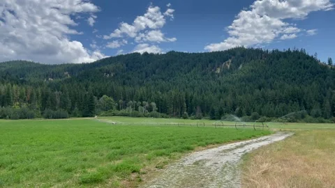 Automatic watering in the fields surrounded by mountains. Agriculture irrigation Stock Footage 252565080