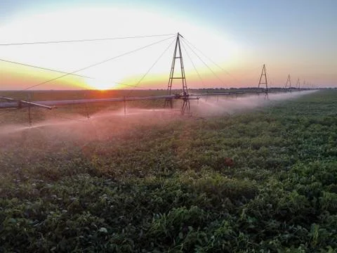 Automatic watering of fields, top view at sunrise. Stock Photos