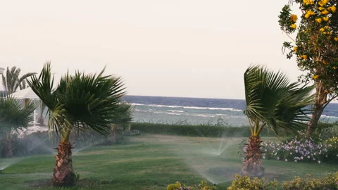 Automatic watering of grass and flowers Stock Footage 107799793