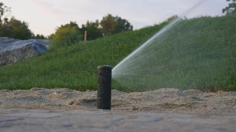 Automatic watering of grass and flowers in the park in the summer. Sprayer Stock Footage 121288971