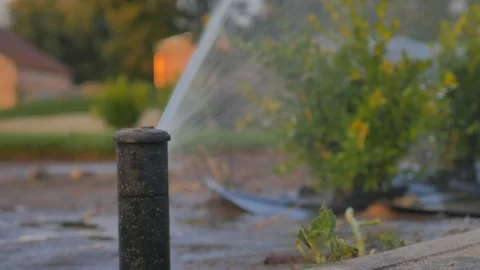 Automatic watering of grass and flowers in the park in the summer. Sprayer Stock Footage 121365933