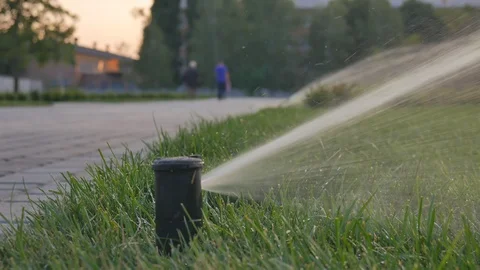 Automatic watering of grass and flowers in the park in the summer. Sprayer Video stock 121689090