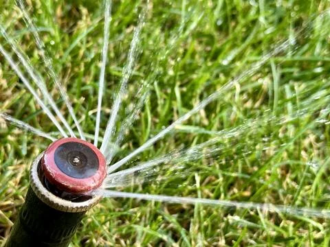 Automatic watering of green grass in the yard. Sprinkler for watering the l.. Stock Photos