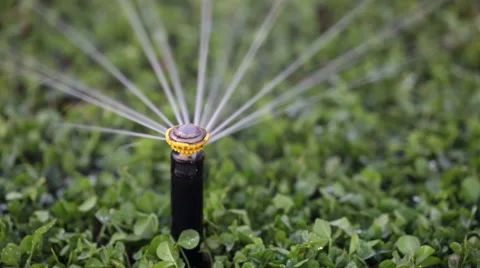 Automatic watering of the lawn Stock Footage 53302232
