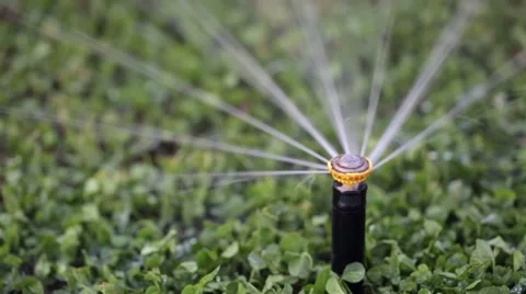 Automatic watering of the lawn 스톡 동영상 53302246