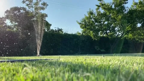 Automatic watering of the lawn on a summer day Stock Footage 169864023