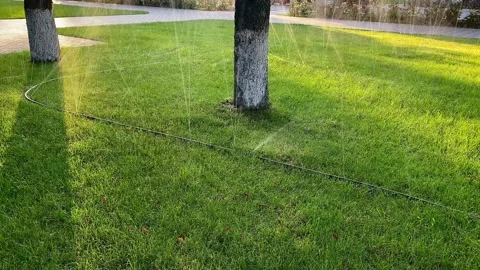 Automatic watering of the lawn with water. 4k Video stock 341344367