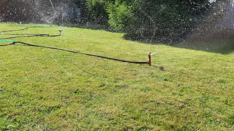 Automatic watering of the lawn in the yard with an irrigator. spray flying on Stock Footage 242095066