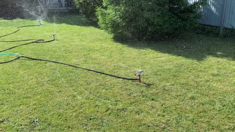 Automatic watering of the lawn in the yard with an irrigator. spray flying on Stock Footage 242095100