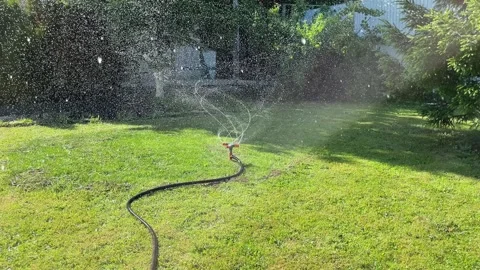 Automatic watering of the lawn in the yard with an irrigator. spray flying on Stock Footage 242095126
