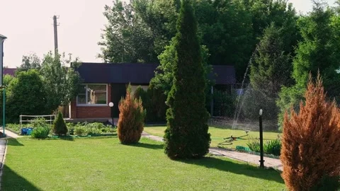 Automatic watering of the lawn in the yard with an irrigator. spray flying on Stock-Footage 242098770