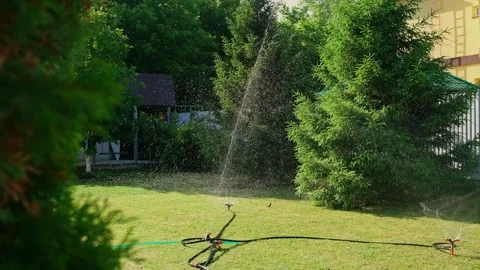 Automatic watering of the lawn in the yard with an irrigator. spray flying on Stock Footage 242098903