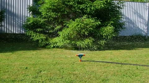 Automatic watering of the lawn in the yard with an irrigator. spray flying on Stock Footage 242098937