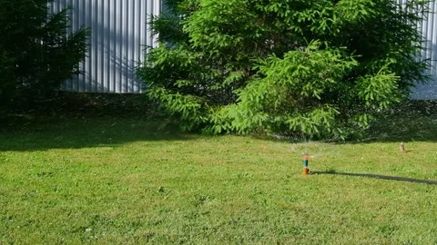 Automatic watering of the lawn in the yard with an irrigator. spray flying on Stock Footage 242098998