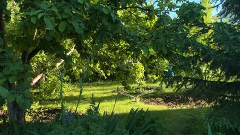 Automatic watering of the lawn in the yard with an irrigator. Spray flying on Stock Footage 346689742