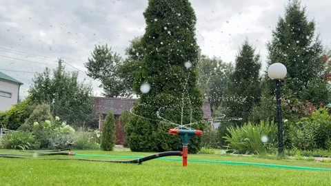 Automatic watering of the lawn in the yard with an irrigator. Spray flying on Stock Footage 346690123