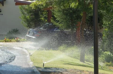 Automatic watering Foto stock