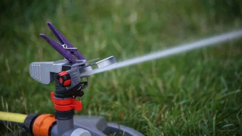 Automatic watering of plant Stock Footage 77118165
