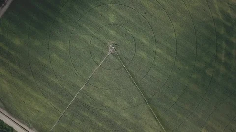 Automatic watering system Stock Footage 108198888