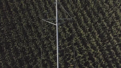 Automatic watering system Stock Footage 108199302