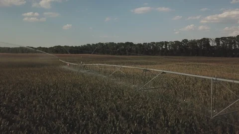 Automatic watering system Stock Footage 108199372