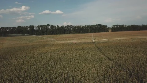 Automatic watering system Stock Footage 108199570