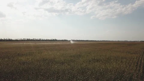 Automatic watering system Stock Footage 108199934