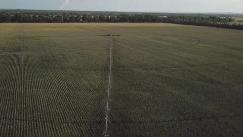 Automatic watering system Stock Footage 108200138