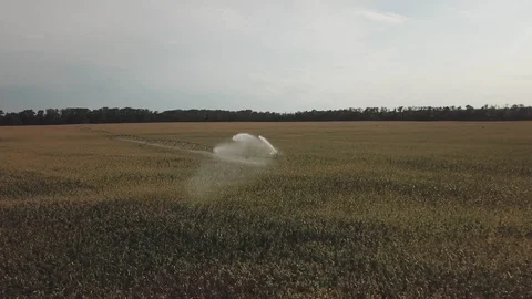 Automatic watering system Stock Footage 108200258