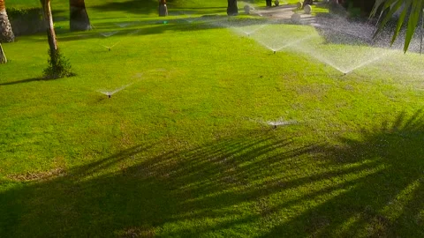 Automatic watering system for the green area. Stock Footage 296509510