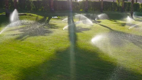 Automatic watering system for the green area. Stock Footage 296509699