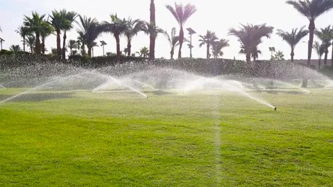 Automatic watering system for the green area. Stock Footage 296509703