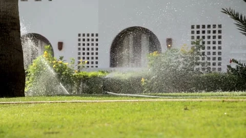 The automatic watering system irrigates lawn grass and other plants in the park Stock-Footage 334656588