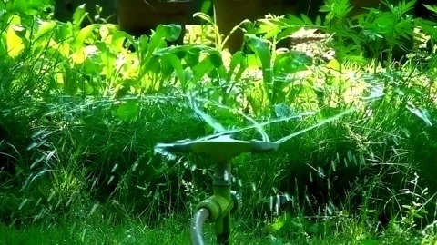 The automatic watering system irrigates lawn grass and other plants in the park Video stock 334657083