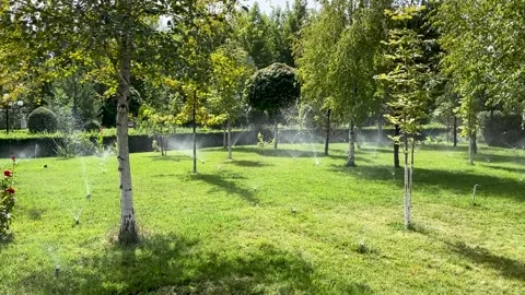Automatic watering system for lawns in city park Stock Footage 256028064