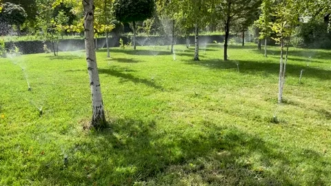 Automatic watering system for lawns in city park Stock Footage 259808462