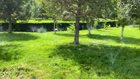 Automatic watering system for lawns in city park Stock Footage 264160136