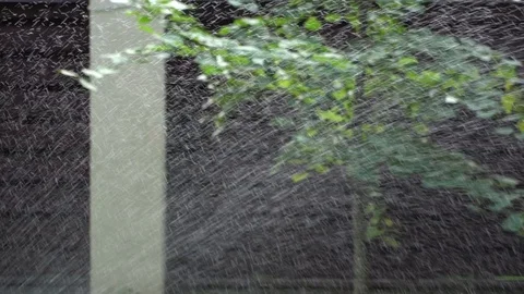 Automatic watering system in park Stock Footage 92352338