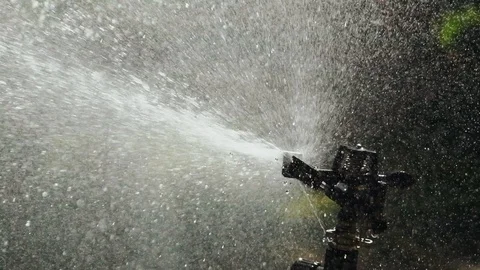 Automatic watering system of plants. Aerosol irrigation of garden. Slow motion Stock Footage 95910560