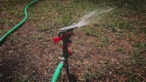 The automatic watering system sprays water on dry grass in hot weather. Stock Footage 137837126